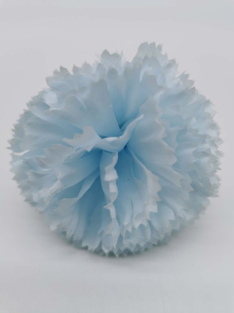 Baby Blue carnation