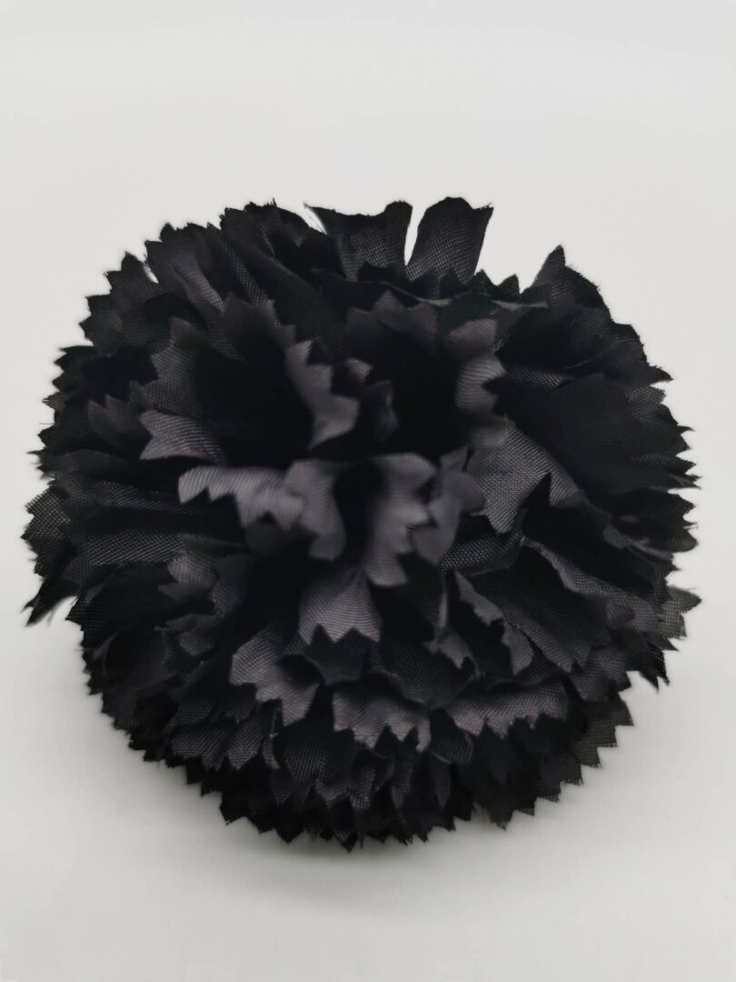 Black carnation