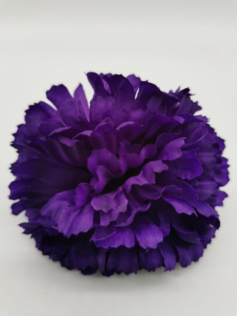 Dark Purple carnation