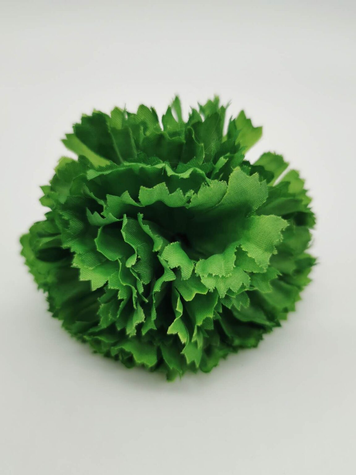 Emerald Green carnation