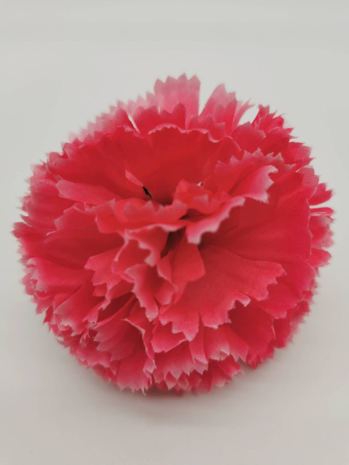 Hot Pink carnation