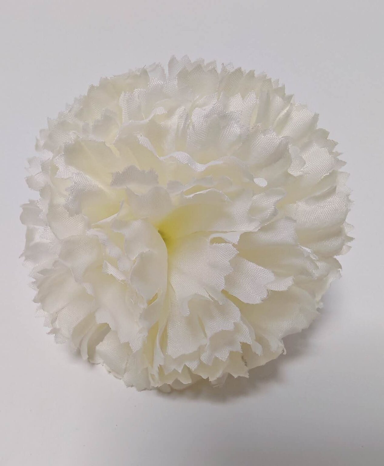 Ivory carnation