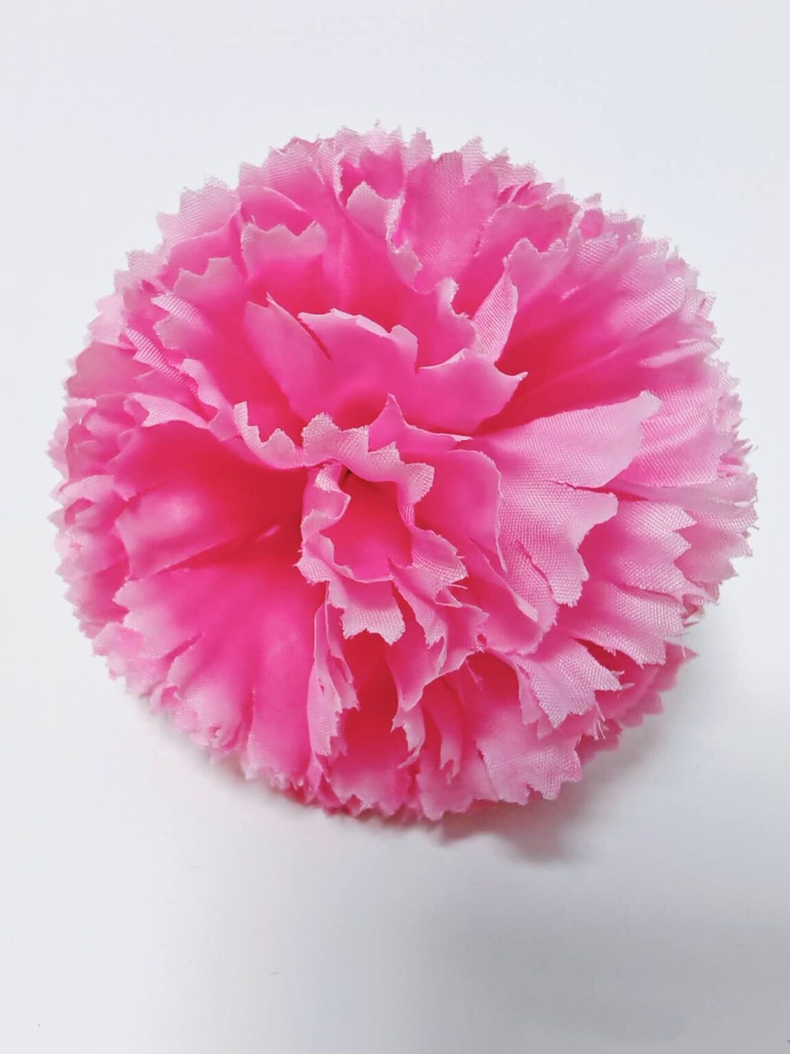 Light Pink carnation