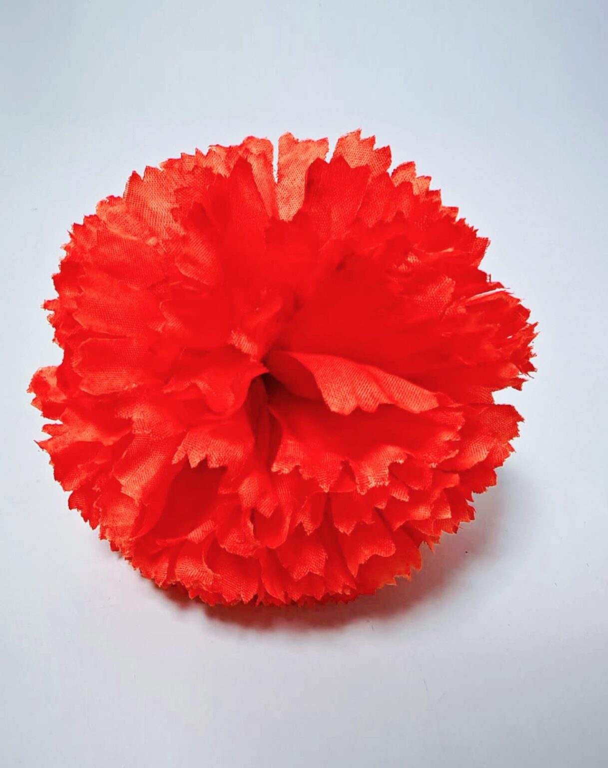 Orange carnation