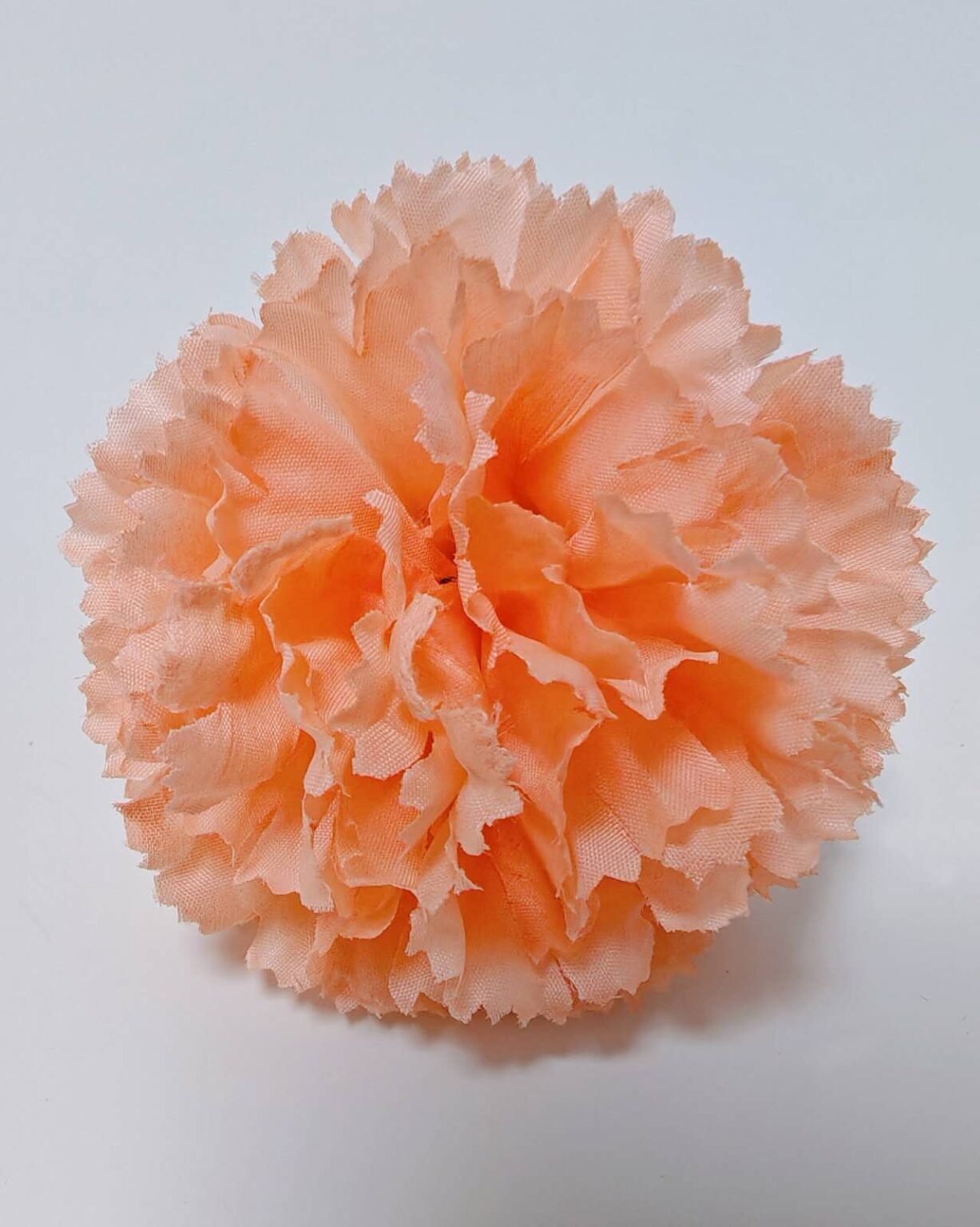 Peach carnation