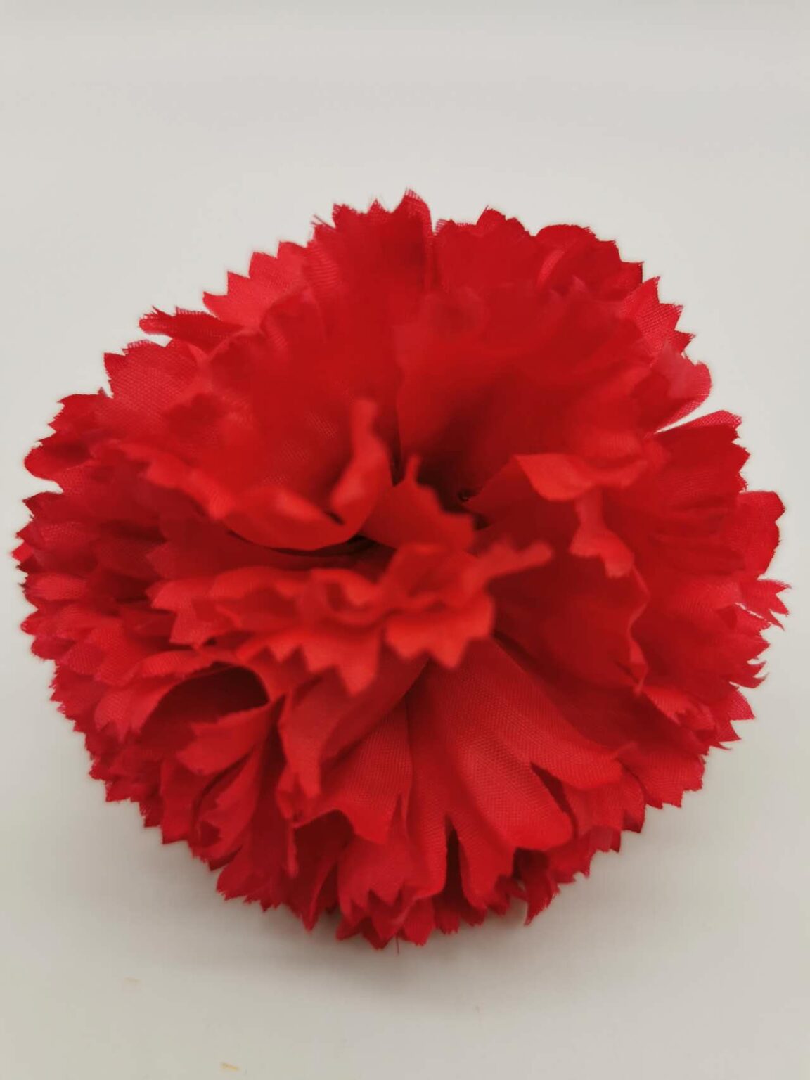 Red carnation
