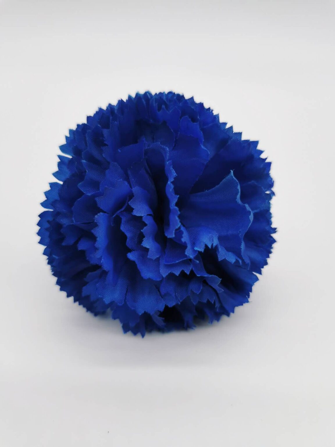 Royal Blue carnation