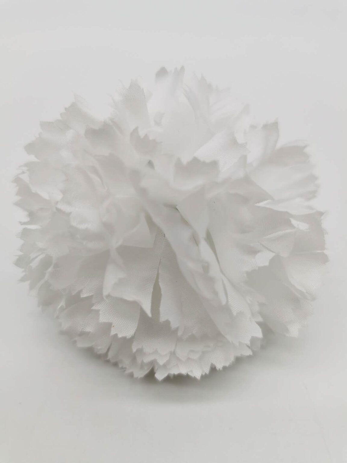 White carnation