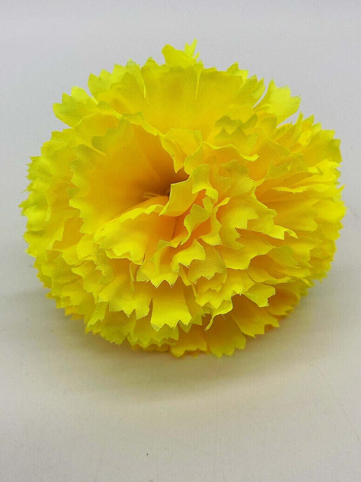 Yellow carnation